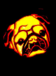 Pug Dog #1